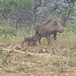 12086655-6439-4EFC-993C-DB1BA313F01F