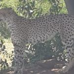 12174ABB-D9EC-49E6-A271-367548B0B979