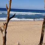 21F4BEA7-DA13-4565-94A6-38D35B463B8B