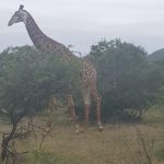 2B673116-1A4C-4020-AFB0-6DBAB545323B