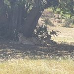 498D3EA1-2853-4D4D-A55C-2791A80EF149