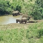 54262C49-1918-4B6F-B799-2E8CD3AD3BEC