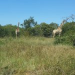 9DC2106A-025E-4513-B423-AD26D208BB1C