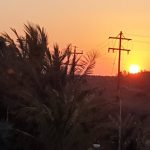 CB0D7261-EAF4-4BB5-94DE-6FD038293A0B