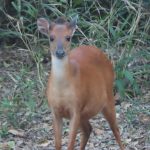 0A919FC5-E8C6-42E2-87B8-696D9EDA8ABC