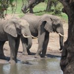 11A91D3D-F634-431C-BB0A-4E6368CFD0D8