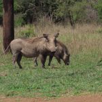 34CBCBCA-3E11-4840-8CC7-44204EE2F9DA