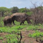 4FE82E13-8F30-47FE-827B-77A4F69E7088