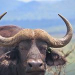 668F047D-7826-42E5-BEDC-AD520B0C371B