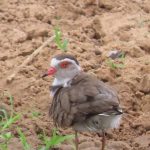 7072C89D-08AC-452F-8A2A-CE566705D663