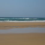 9B04B9A0-9927-4CC8-9F5F-1E4A4A7AB0F8