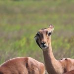 E0A0AB3C-BA69-4C63-8C63-D12E98F3ECCE