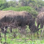 EF52300E-F981-45E3-9C4E-826246E853E2