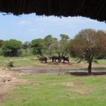 F0563143-A4BE-48F7-9A83-80586FDB63D2